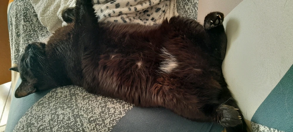 Image ajoutée par Laetitia