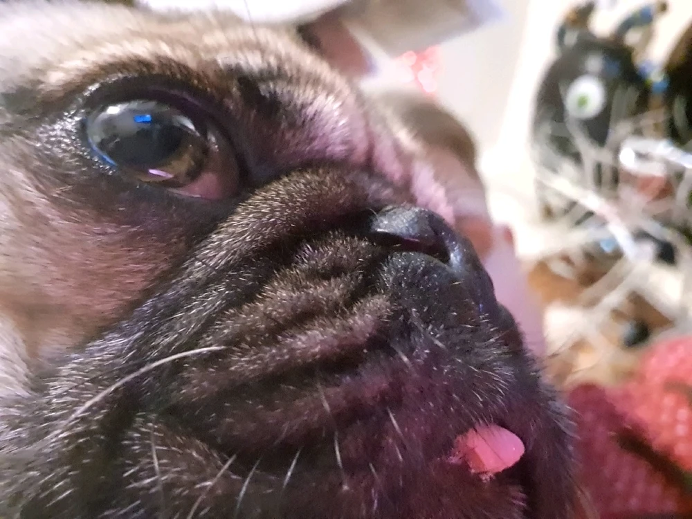 Image uploaded by Jamie Henry Brown