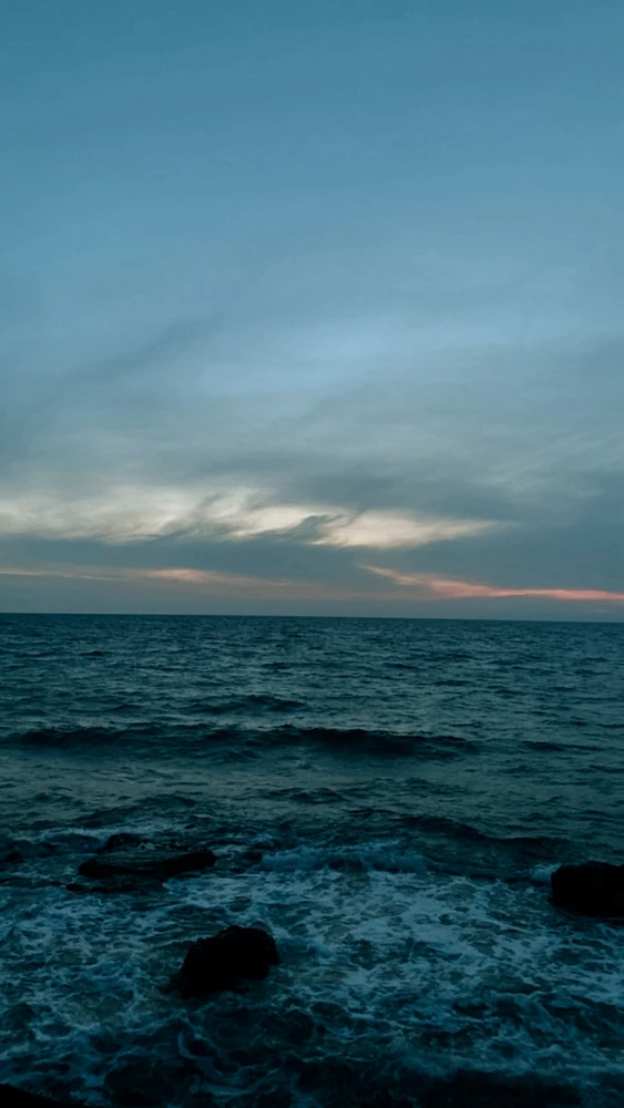 Image uploaded by Eve