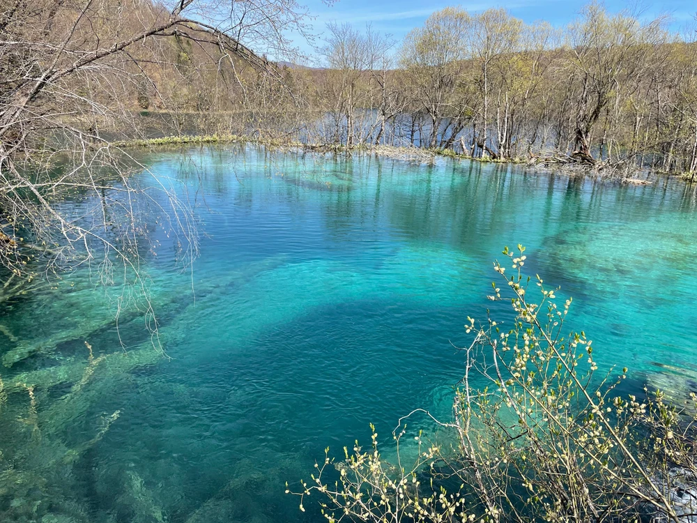 Imagen subida por Mariana