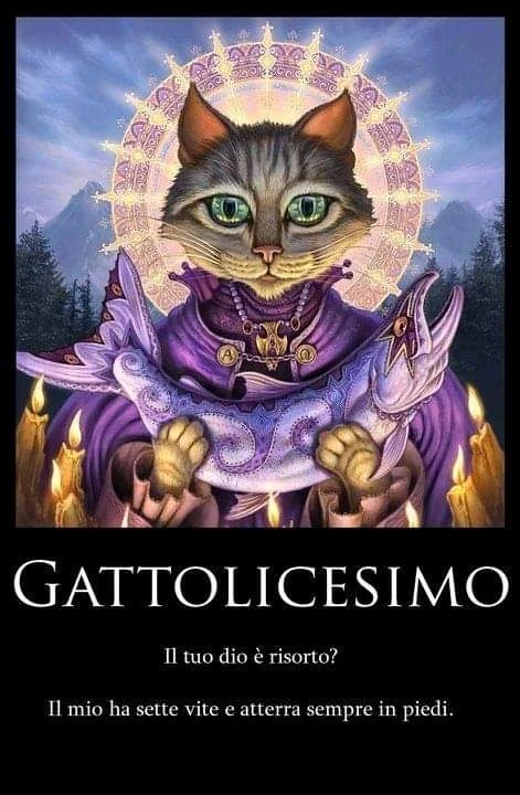 Immagine caricata da Lapo