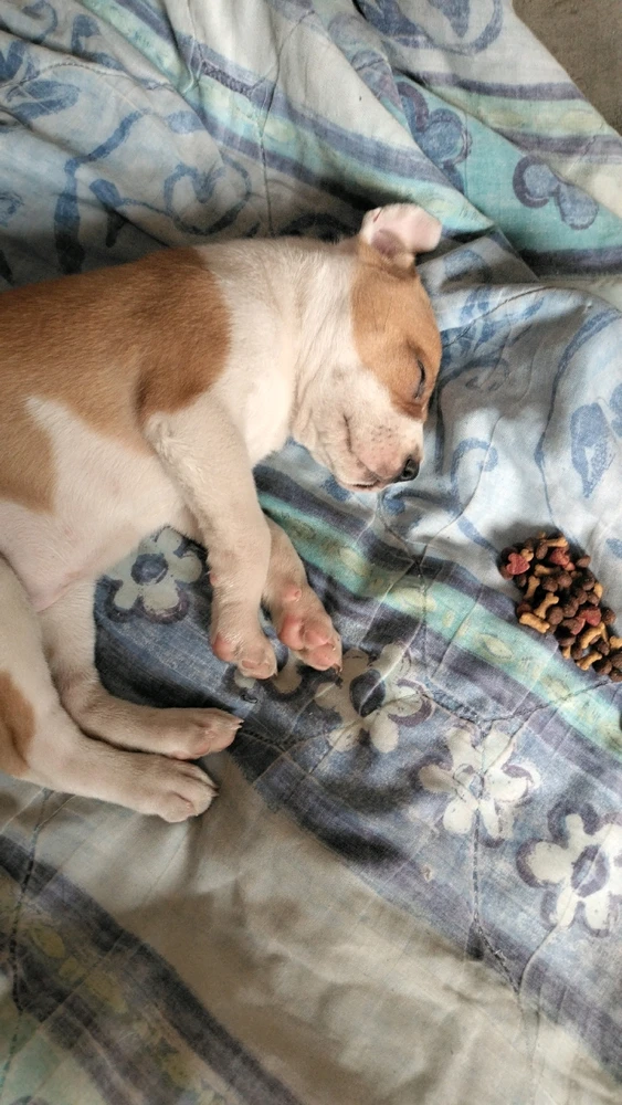 Imagen subida por Marco