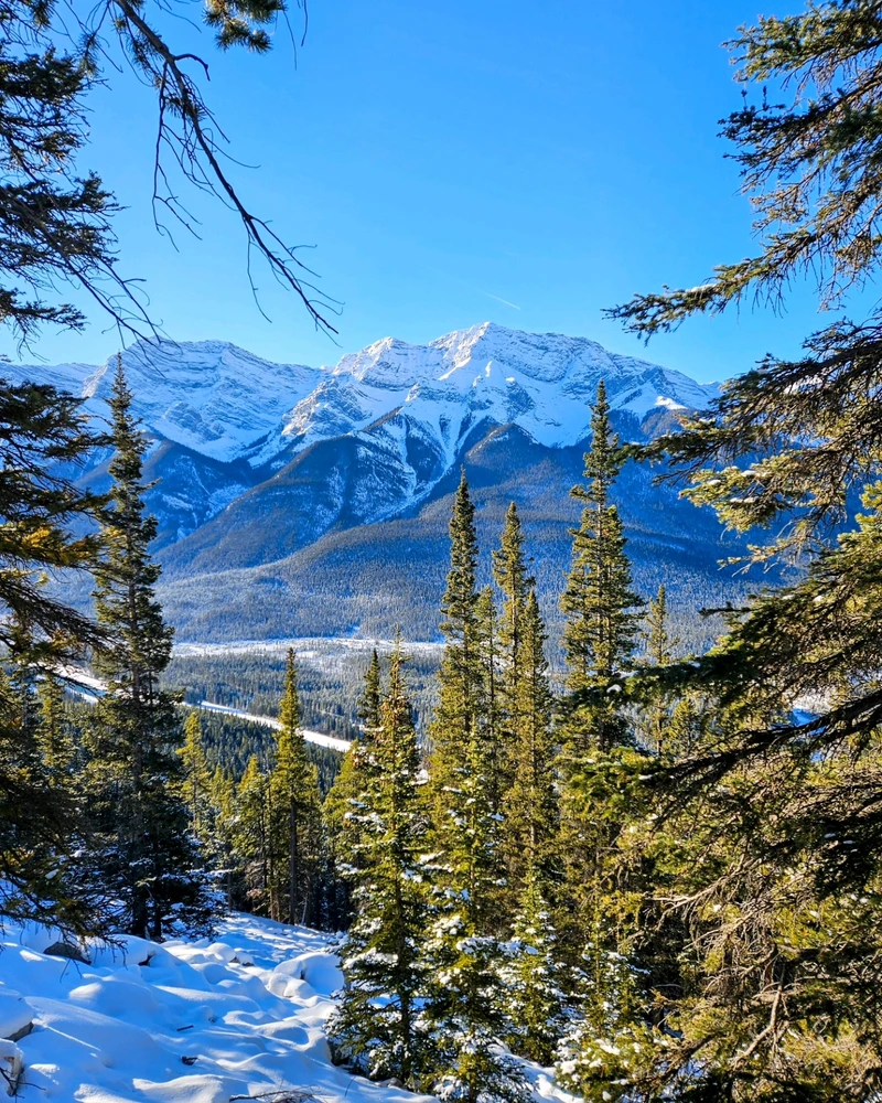 Image uploaded by Cody