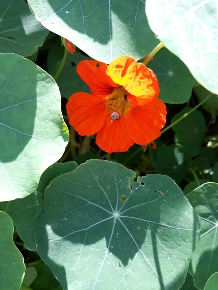 Image uploaded by Sada