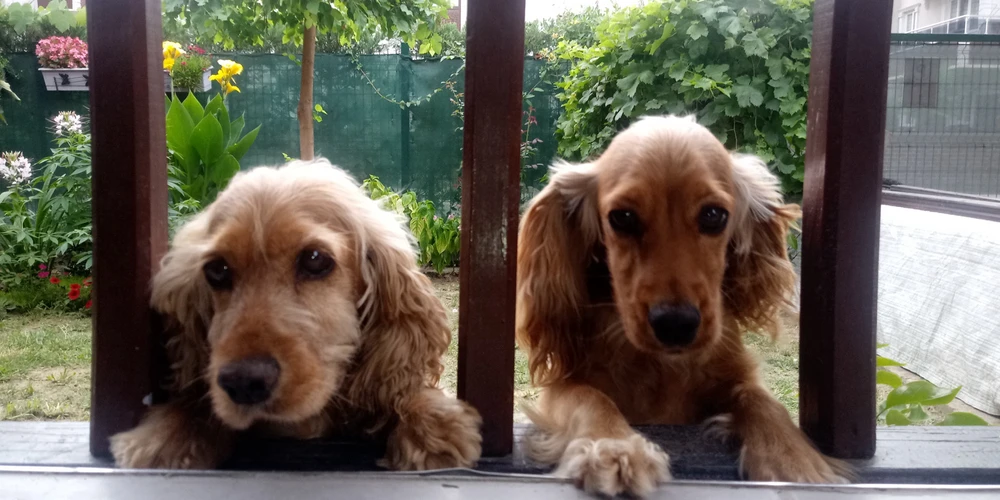 Semih Berke tarafından yüklenen görsel