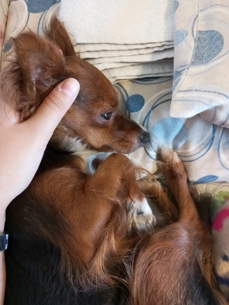 Immagine caricata da Mariachiara