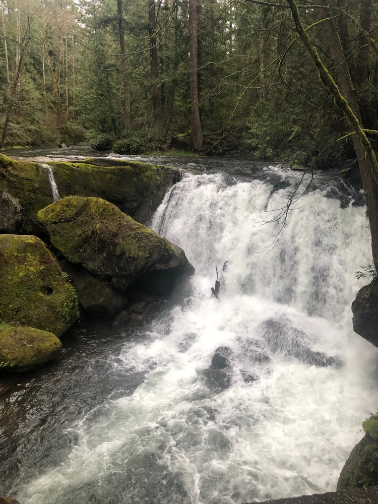 Image uploaded by Kaleio Linn