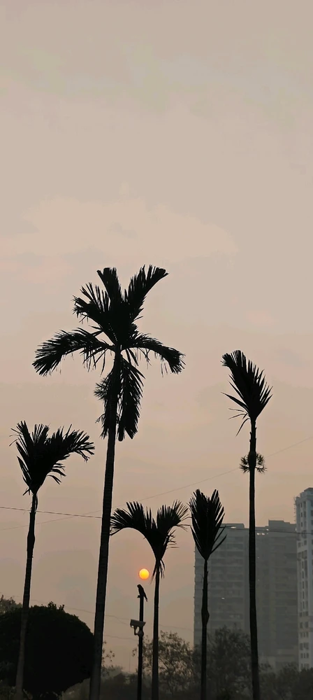 由sandy上传的图片