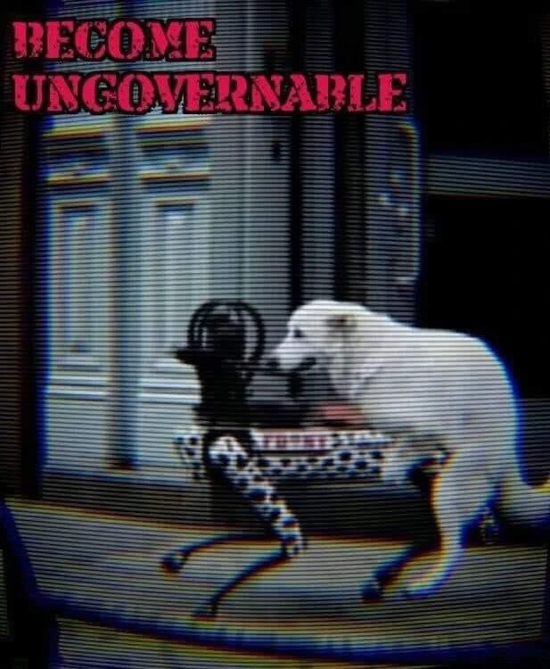 Image uploaded by Matt