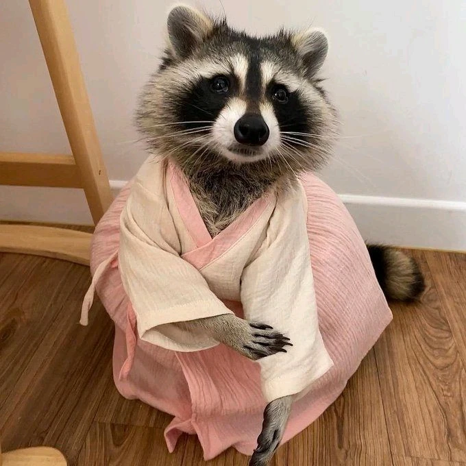 Image uploaded by Ree