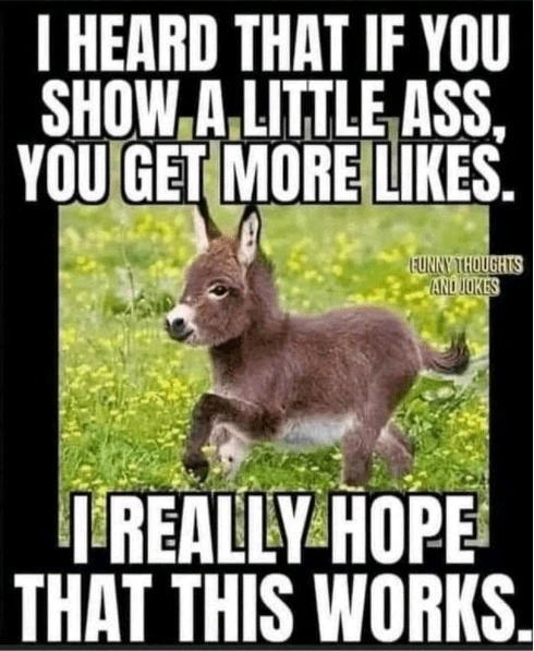 Image uploaded by Joseph