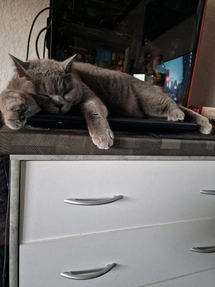 Bild hochgeladen von Tobias