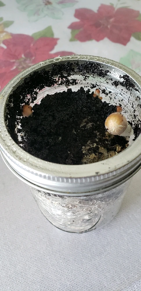 Image uploaded by Daniel