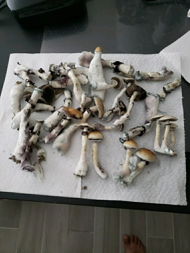 Image uploaded by Daniel