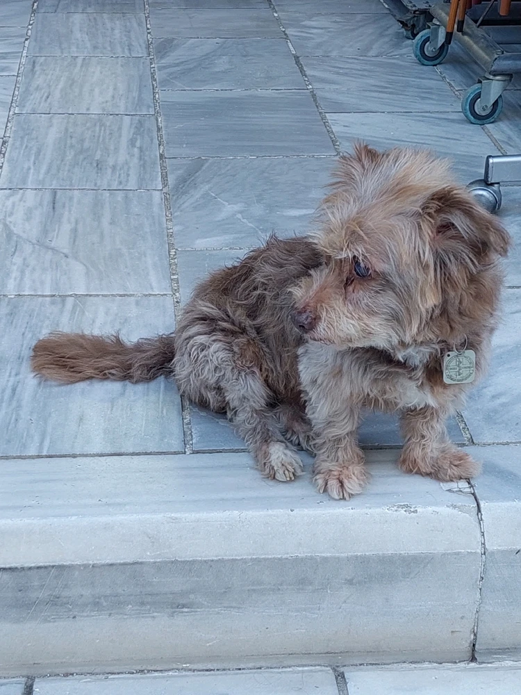 Imagen subida por Paula