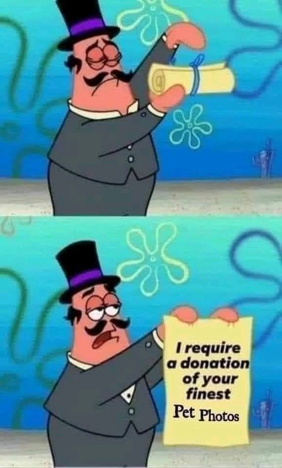 Image uploaded by Sheree