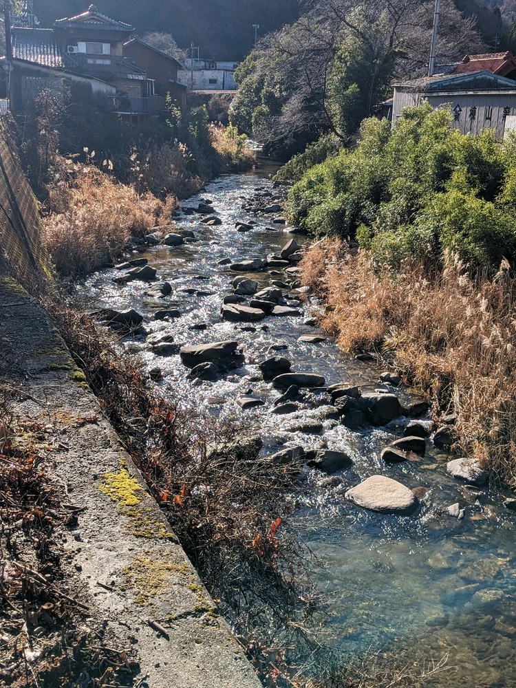 カツがアップロードした画像