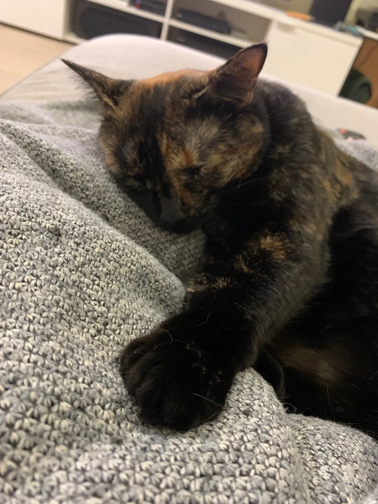 Image uploaded by Cecilia