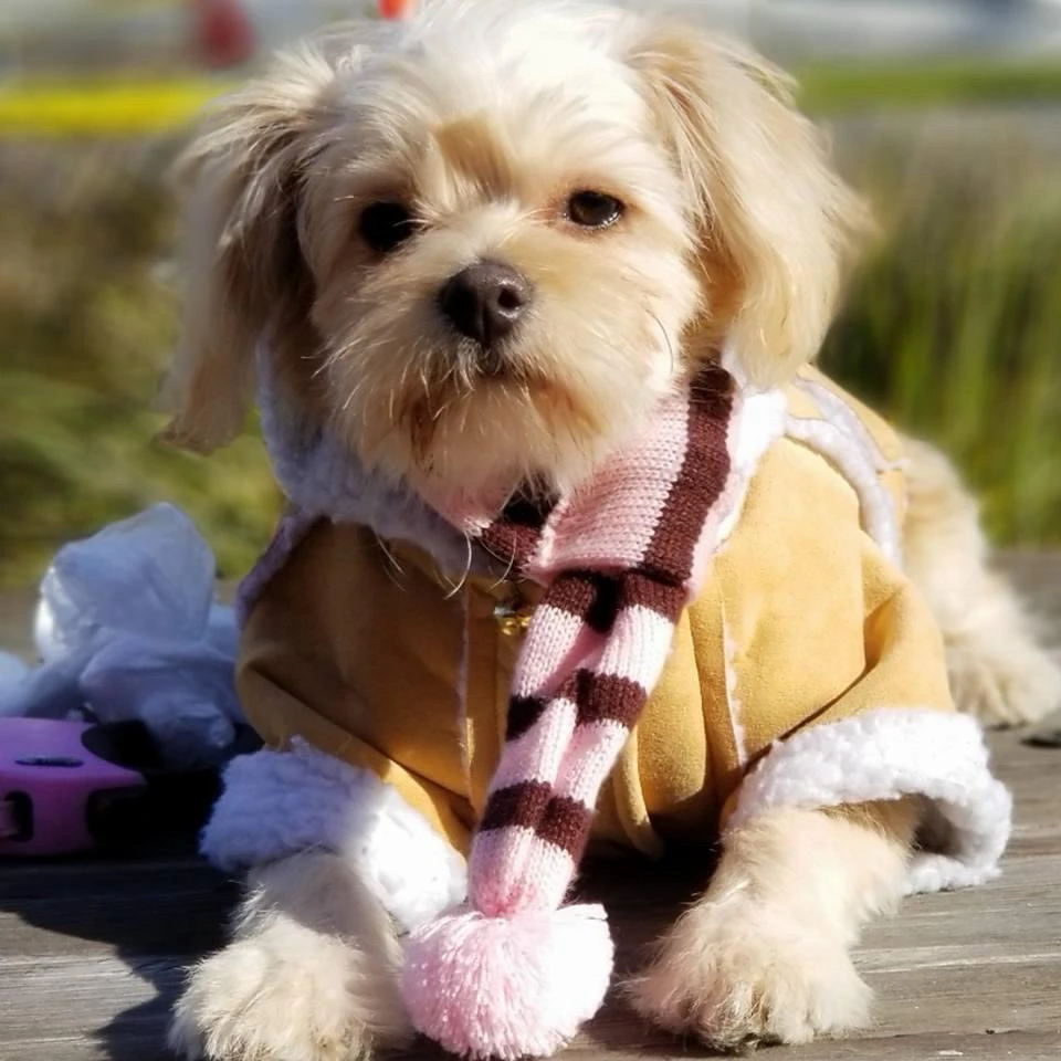 Image uploaded by Phero