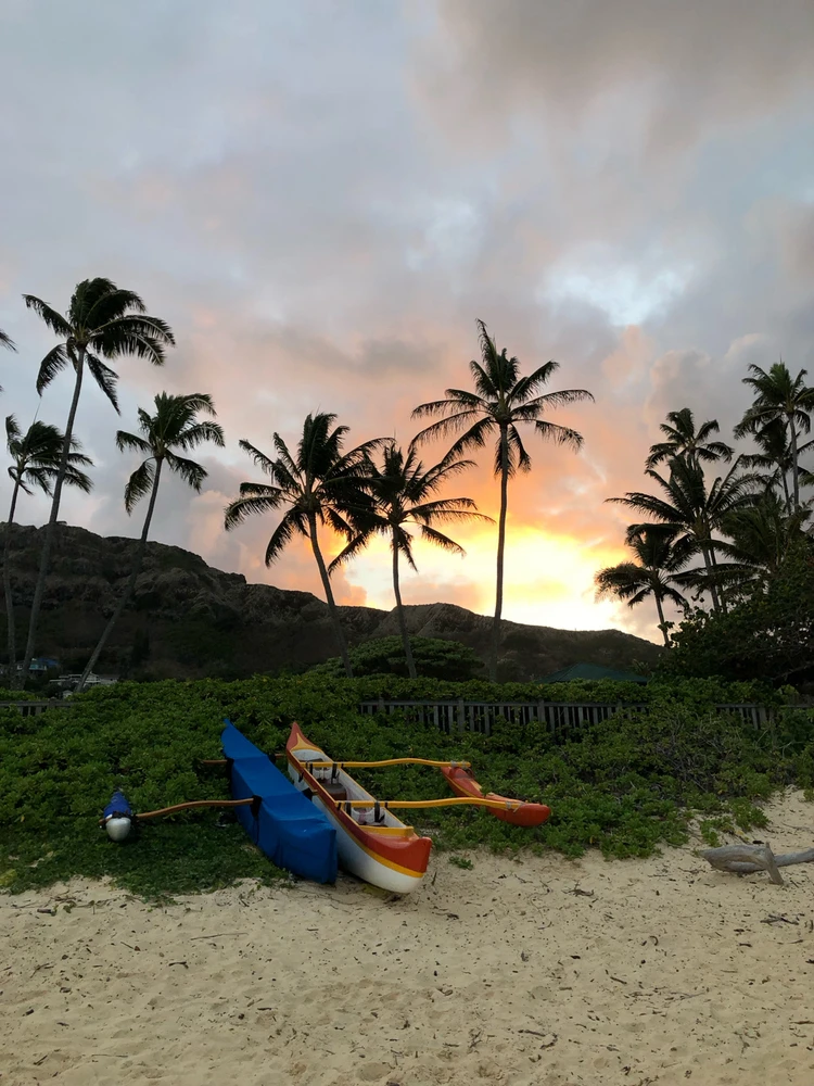 Image uploaded by Brandon