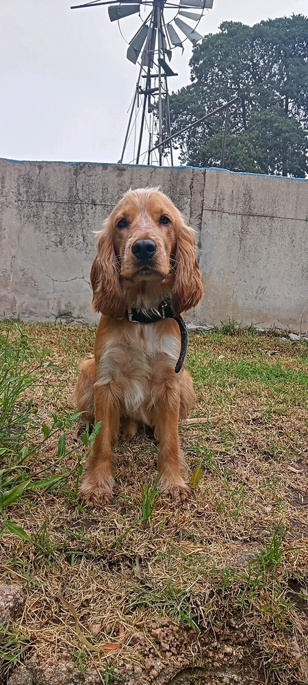 Imagen subida por Kary