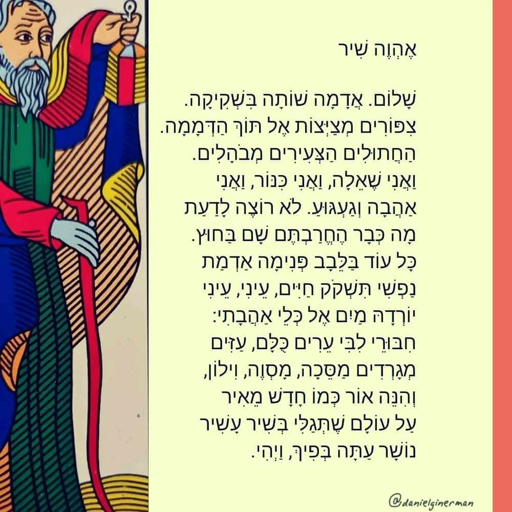 תמונה שהועלתה על ידי Yair