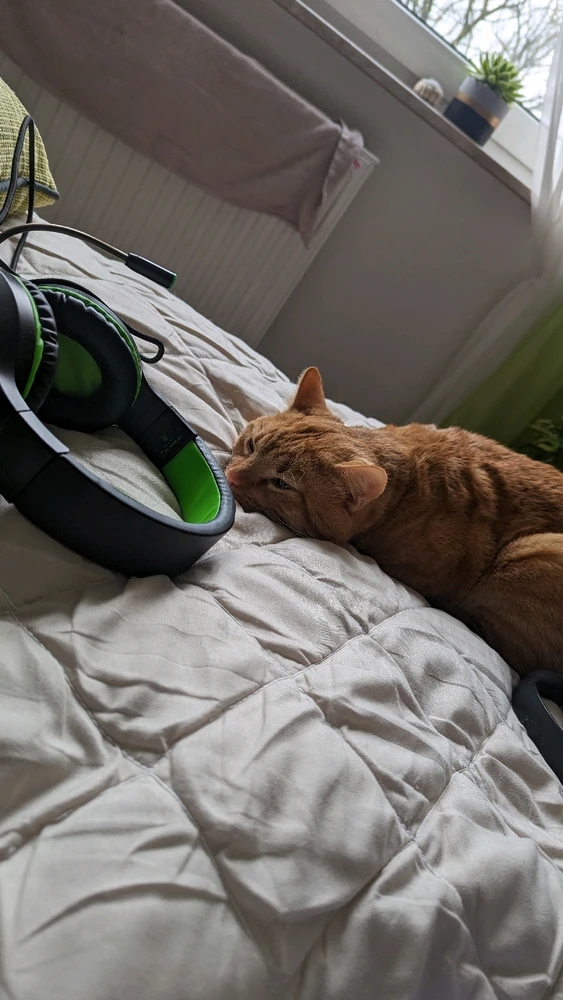 Bild hochgeladen von Jeanette