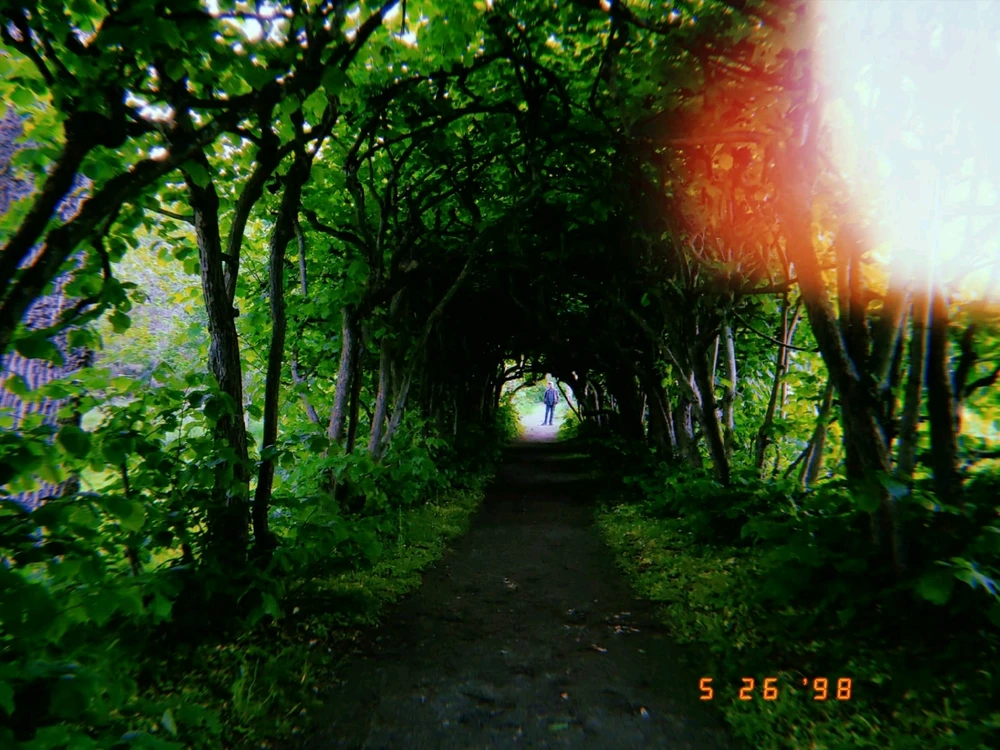 I-upload ni Ole-Jørgen ang larawan