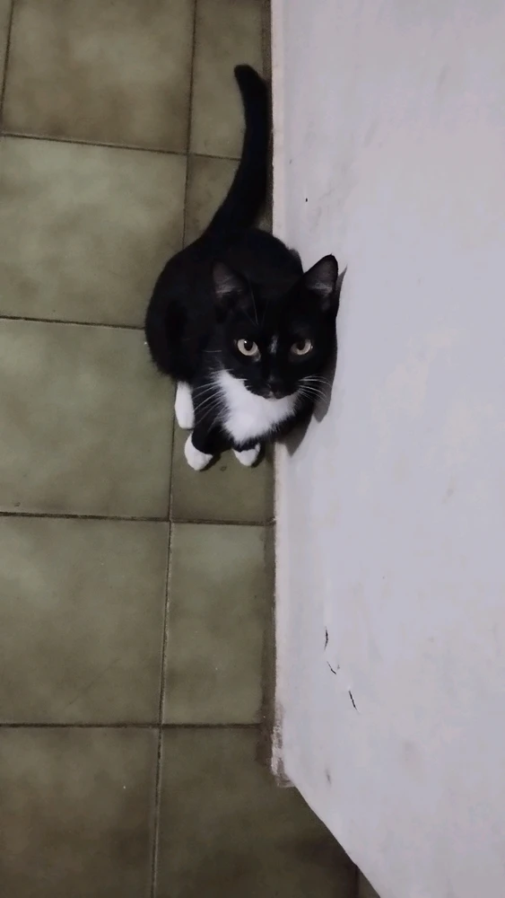 Image uploaded by Nyele