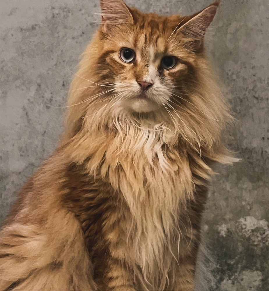 Image uploaded by Esther