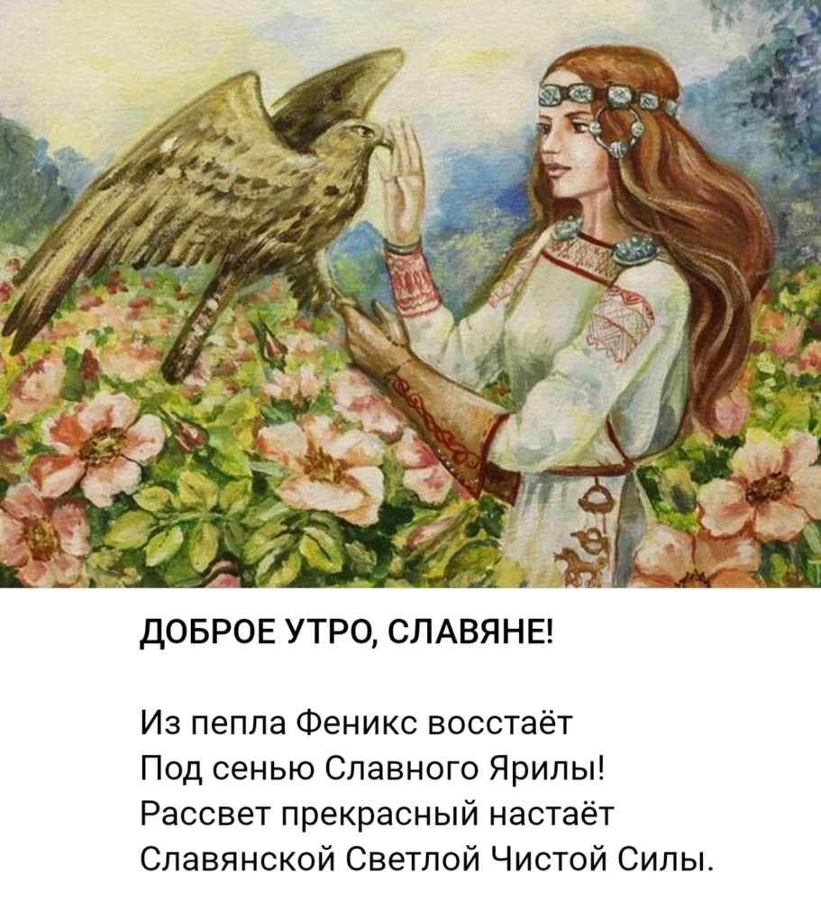 Фото загрузил Елена