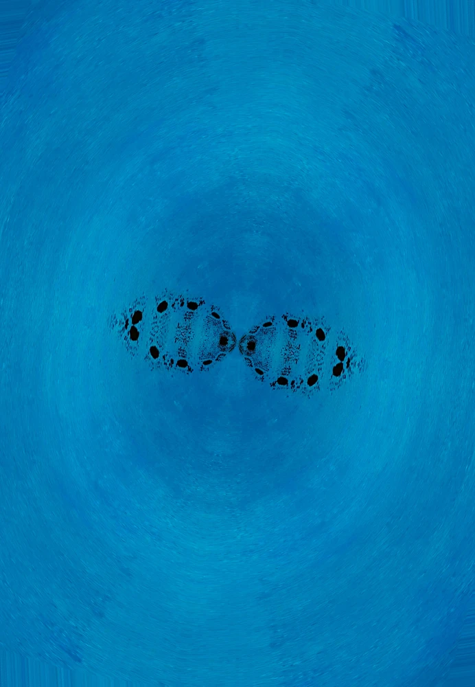 Bild hochgeladen von Andreas