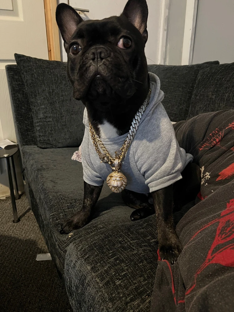 Image uploaded by Josh