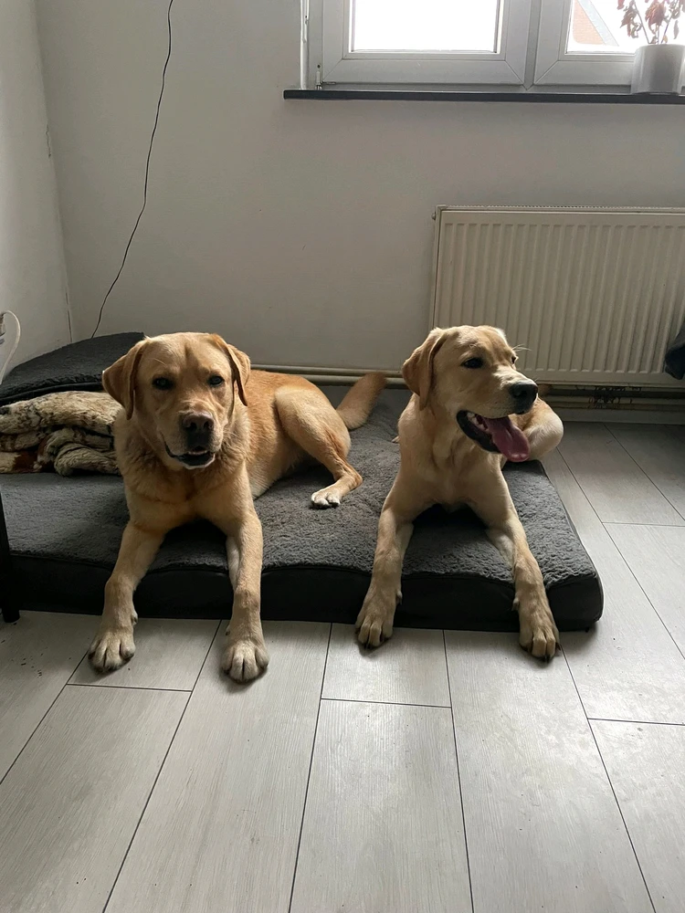 Bild hochgeladen von Peter