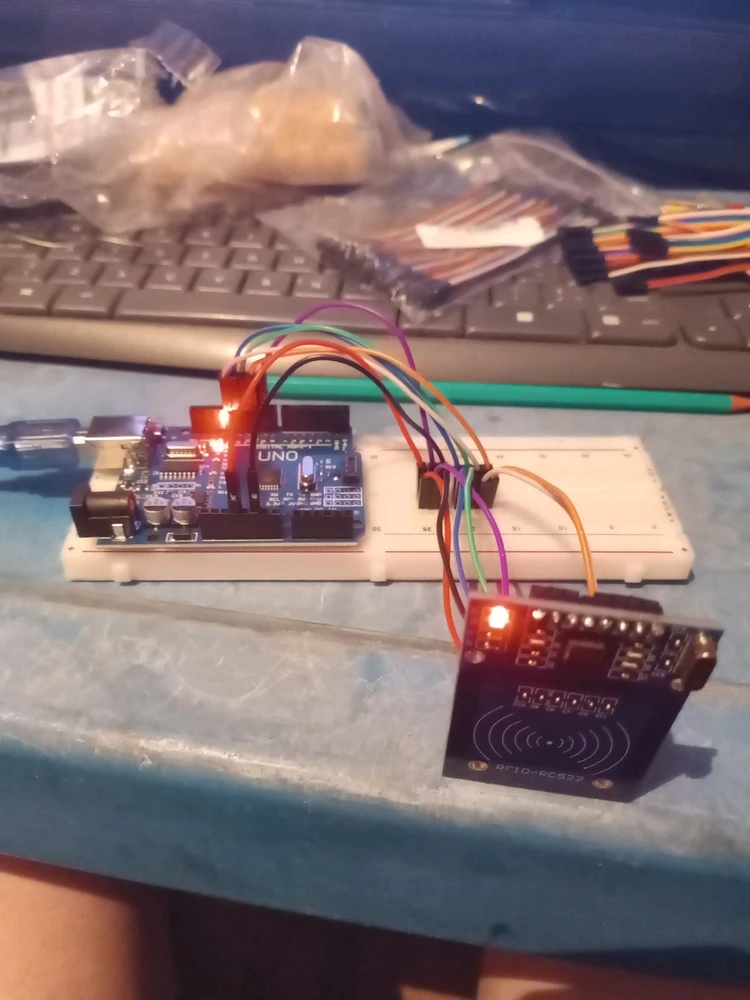 Imagem enviada por Morgana