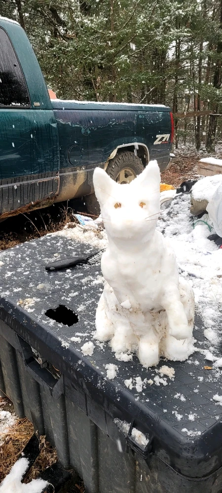 Image uploaded by Angel🌲