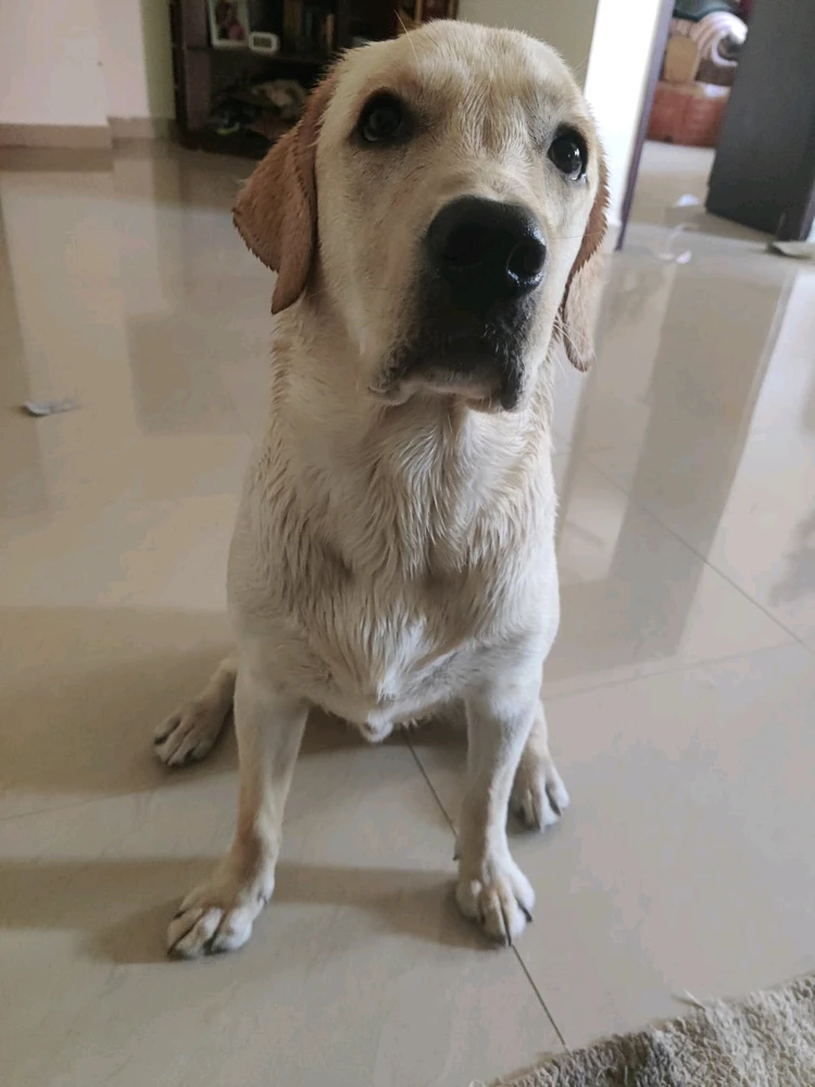 Image uploaded by G