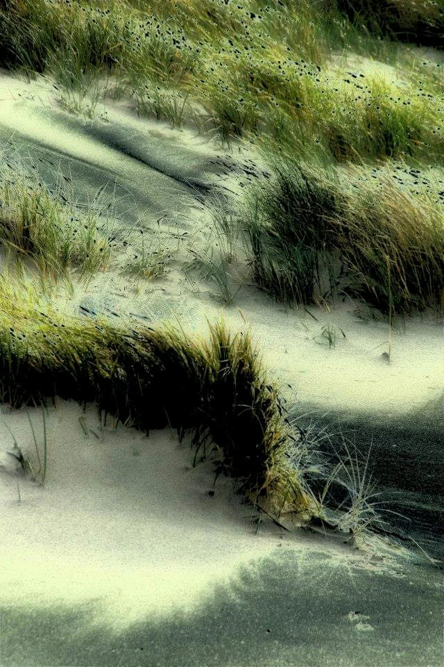 Bild hochgeladen von Dennis