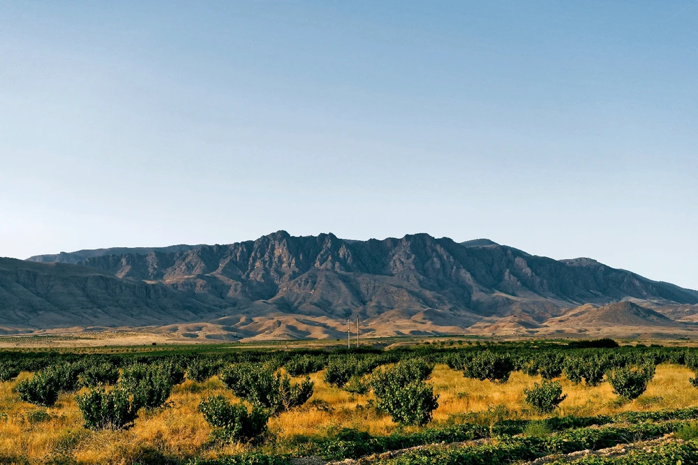 Фото загрузил Leo