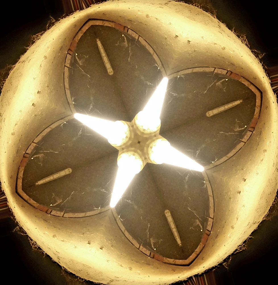 Bild hochgeladen von Andreas