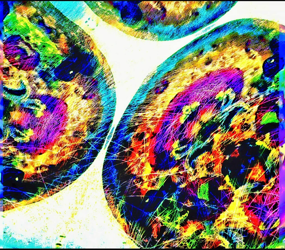 Bild hochgeladen von Andreas