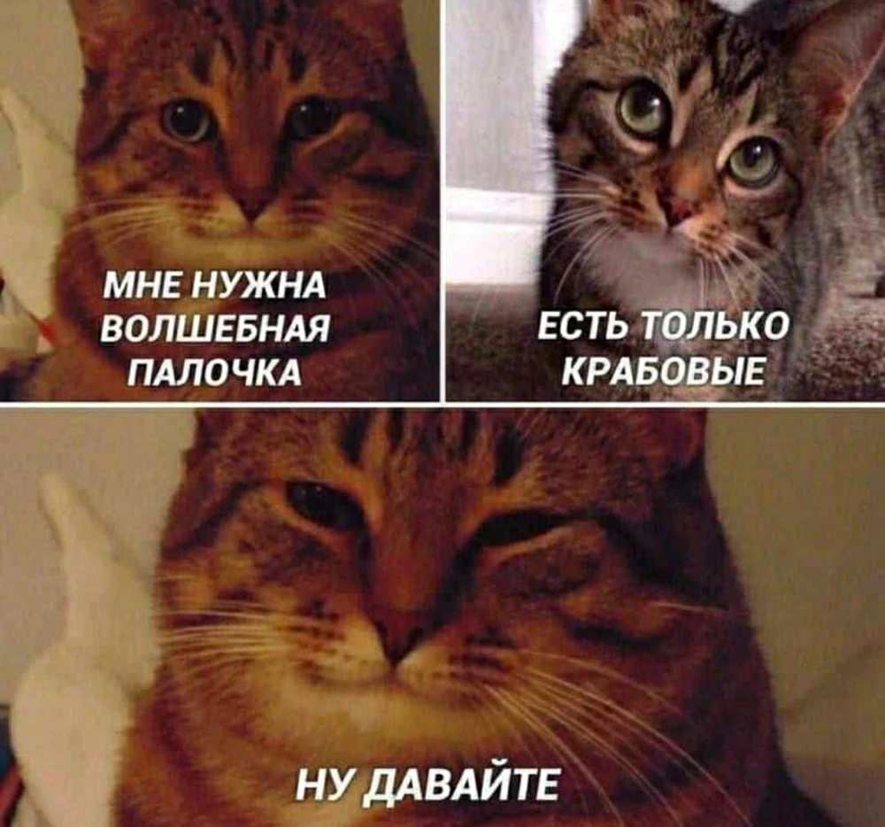 Фото загрузил Archi