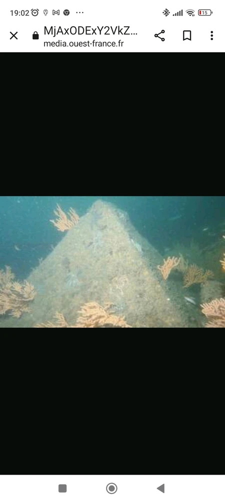 Image ajoutée par Dorian🐞