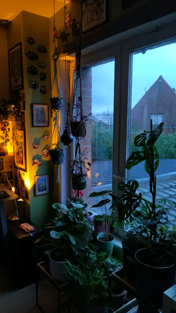 Image ajoutée par Pierre