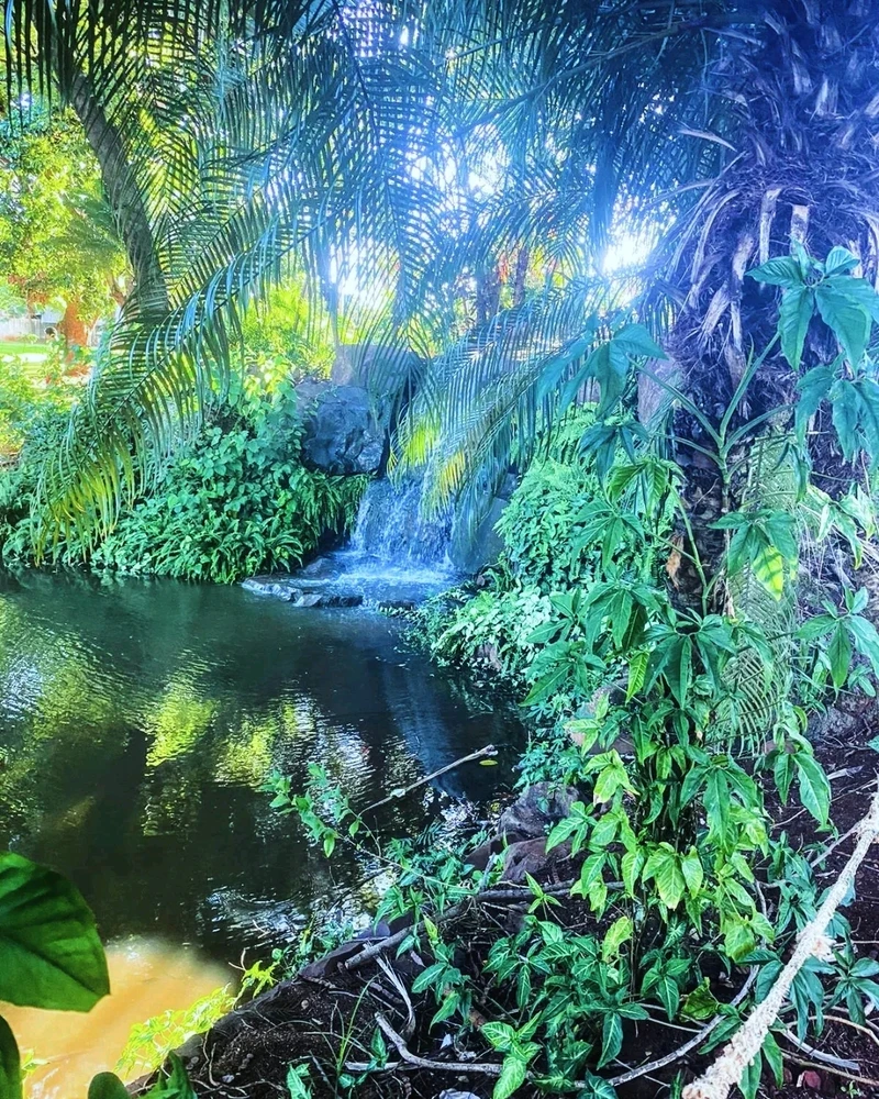 Parque Bela Fonte. - Serrana, SP.