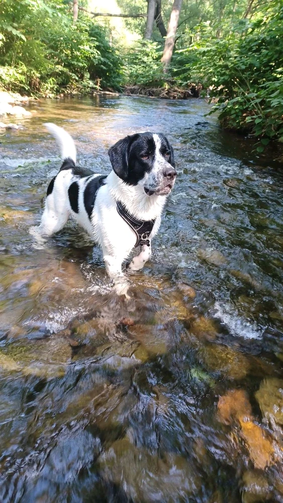 Image ajoutée par Steve