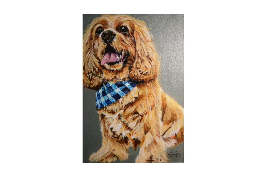 Imagen subida por M&M