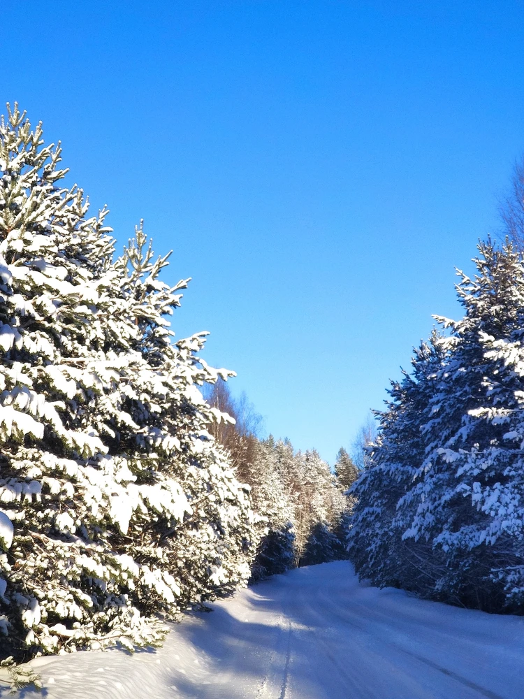 Фото загрузил Денис