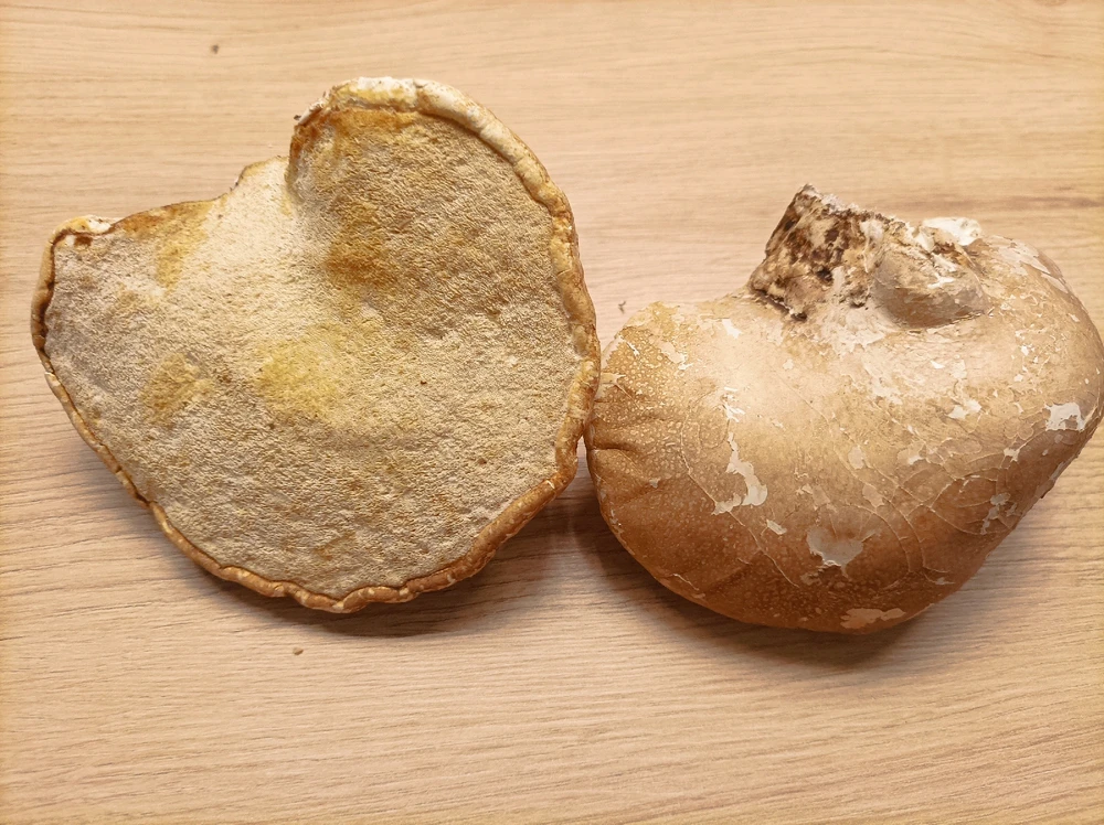 Bild hochgeladen von Jochen