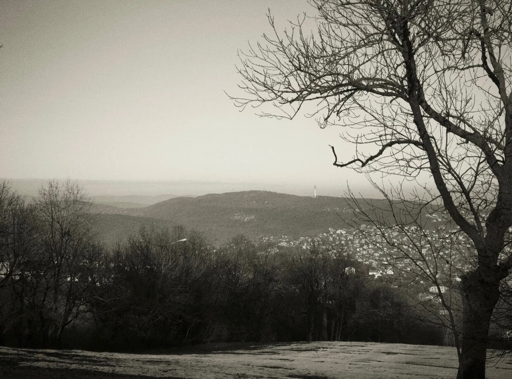 Peter által feltöltött kép